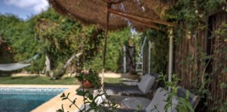dorita.co.il